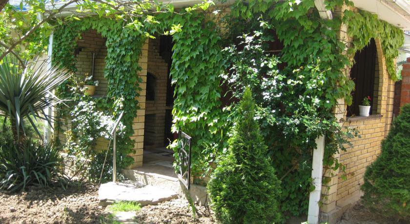 Гостиница Гостевой Дом у Дмитрия Ольгинка-29