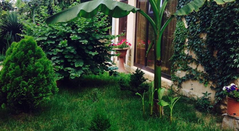 Гостиница Гостевой Дом у Дмитрия Ольгинка-44