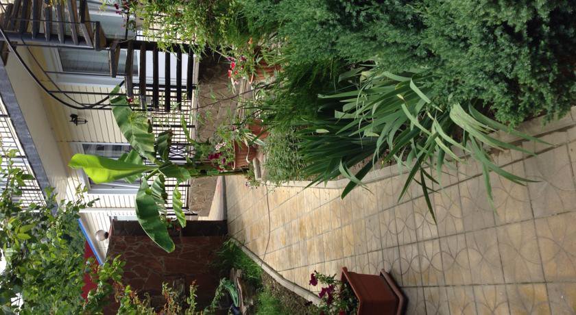 Гостиница Гостевой Дом у Дмитрия Ольгинка-22