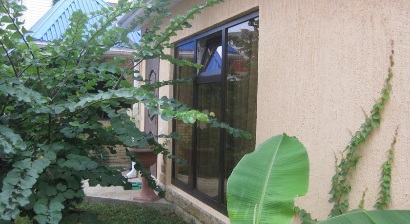 Гостиница Гостевой Дом у Дмитрия Ольгинка-10