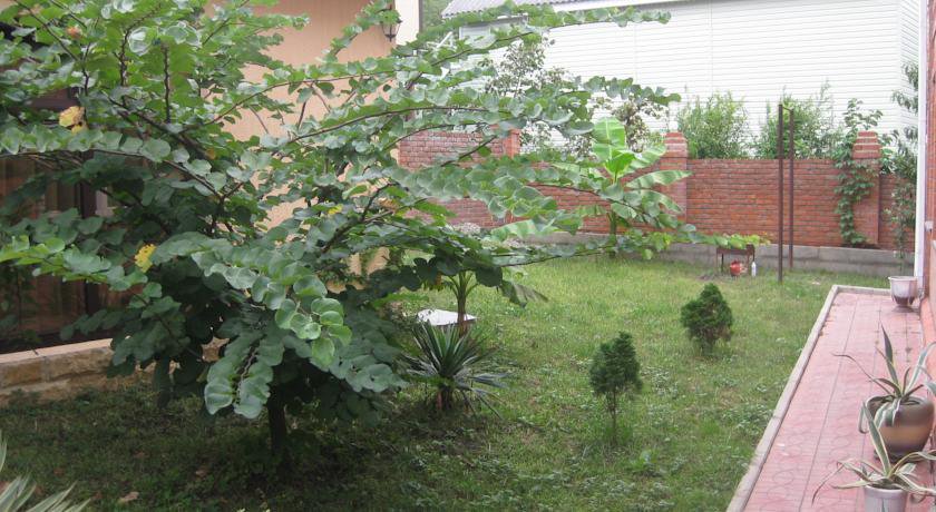 Гостиница Гостевой Дом у Дмитрия Ольгинка-7