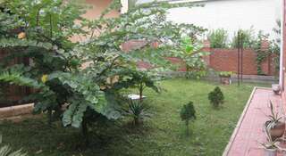 Гостиница Гостевой Дом у Дмитрия Ольгинка-3