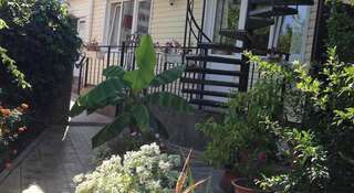 Гостиница Гостевой Дом у Дмитрия Ольгинка-1