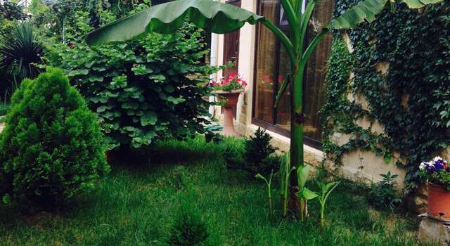 Гостиница Гостевой Дом у Дмитрия Ольгинка-43