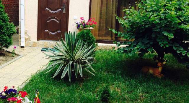 Гостиница Гостевой Дом у Дмитрия Ольгинка-40